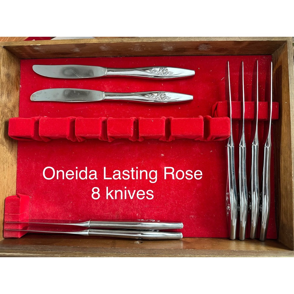 Oneida Lasting Rose Stainless Steel Dinner Knives Set of 8 Floral Flatware MCM
